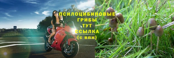героин Абаза