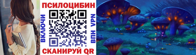 Галлюциногенные грибы GOLDEN TEACHER  где можно купить наркотик  Ряжск 